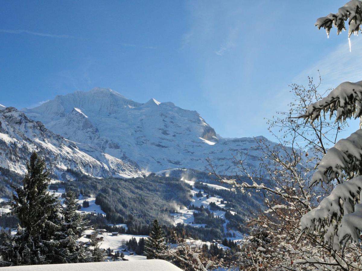 Apartment Central Wengen Extérieur photo